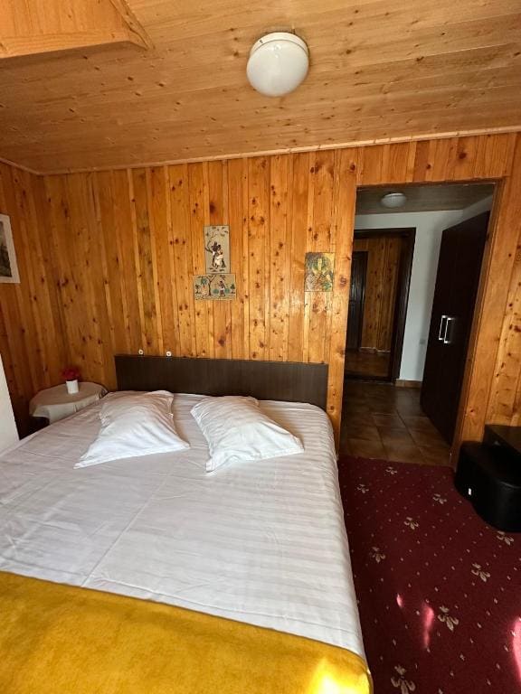 Double Room- Attic room - Image 3