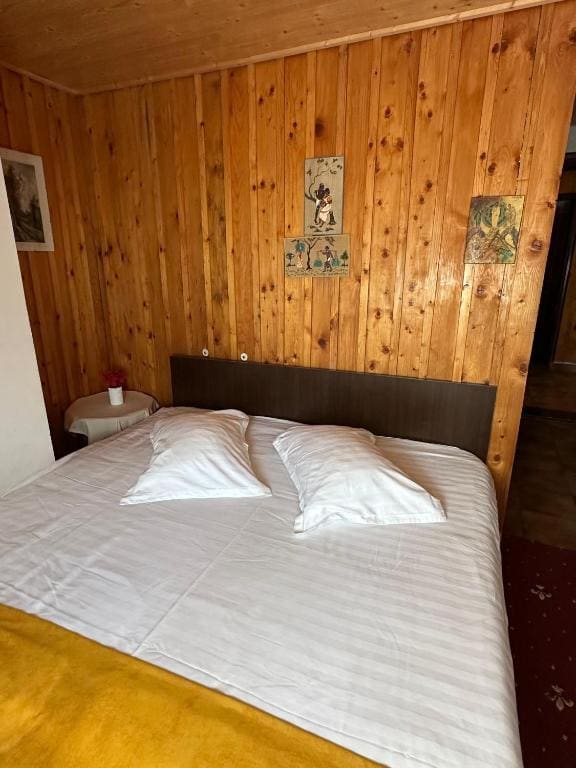 Double Room- Attic room - Image 2