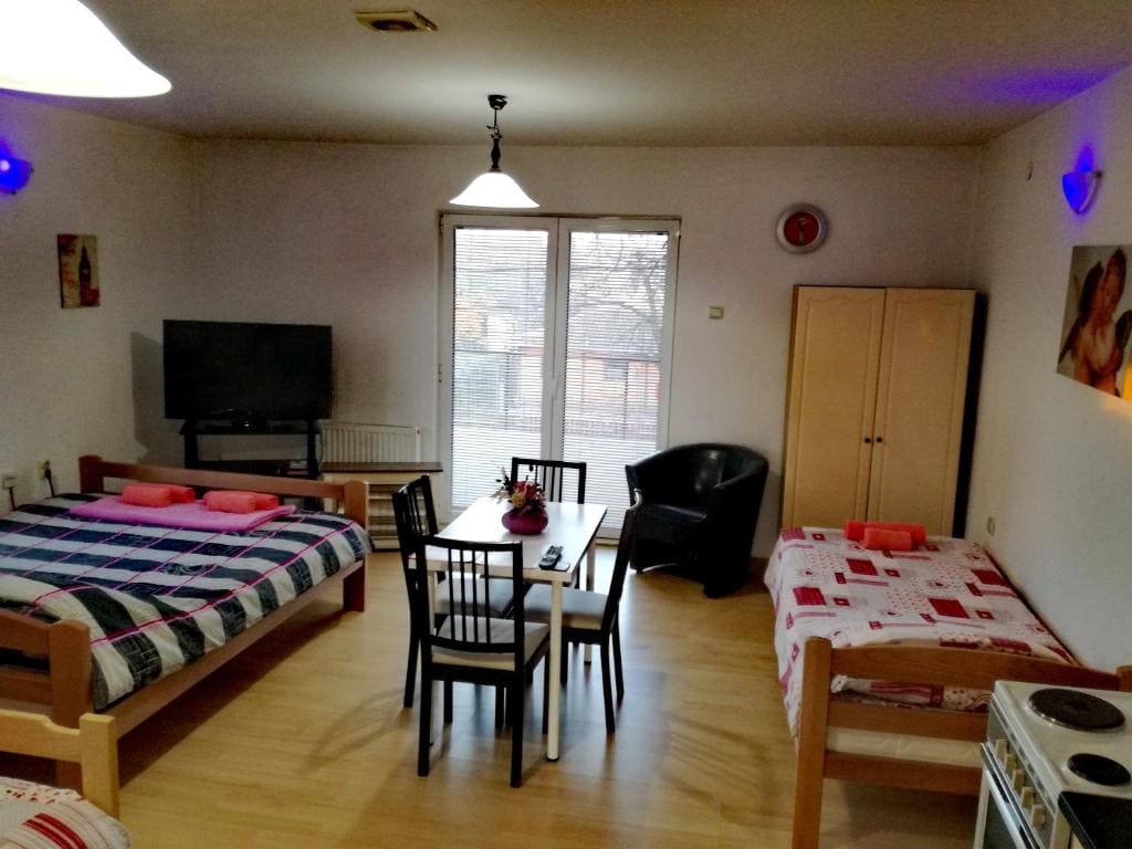 Apartment with Balcony room - Image 1