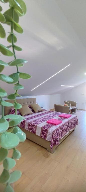 Studio with Terrace room - Image 3