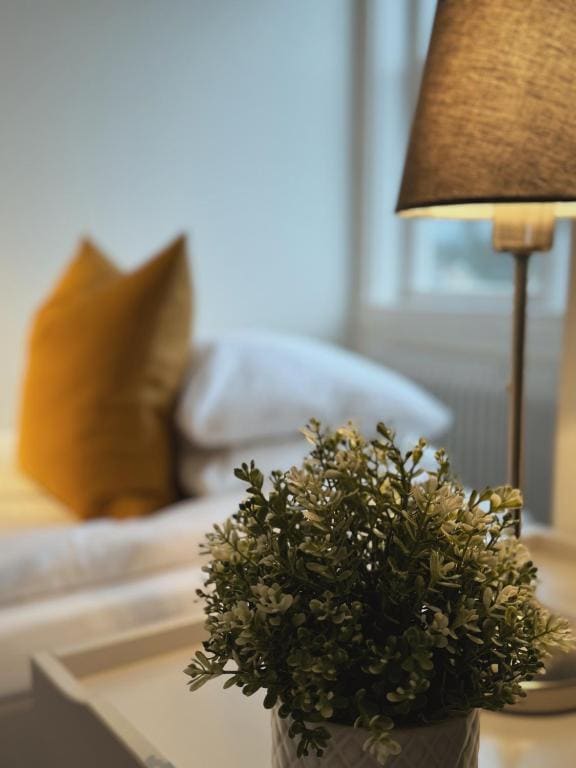 Standard Single Room room - Image 3