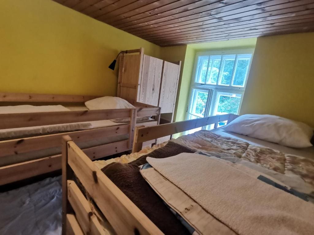 Single Bed in Dormitory Room with Shared Bathroom room - Image 1