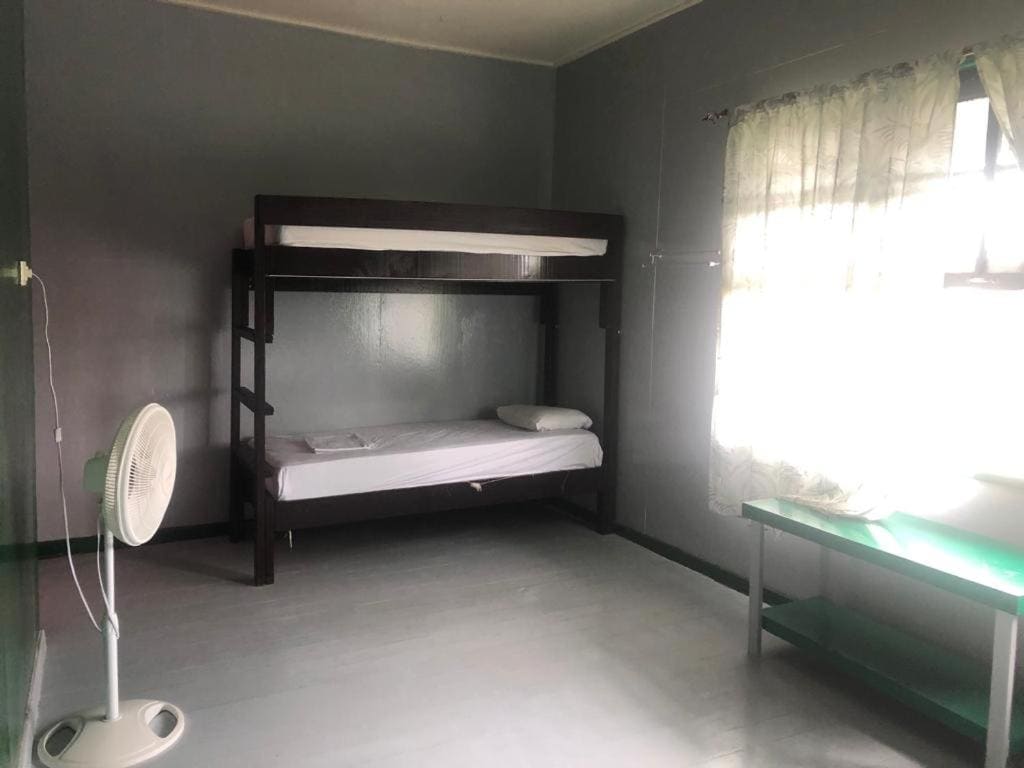 Bunk Bed in Mixed Dormitory Room room - Image 2