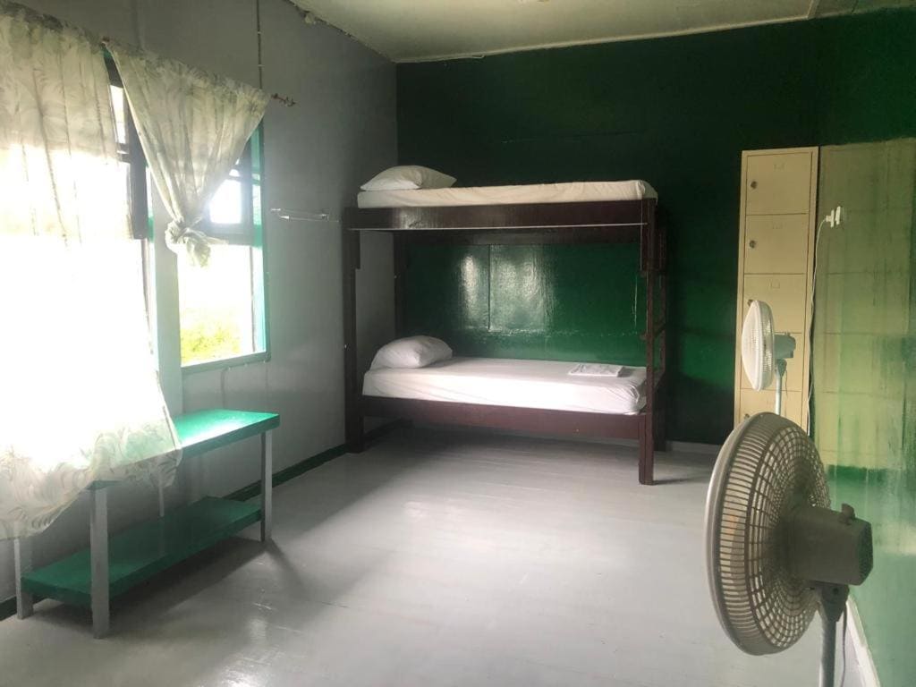 Bunk Bed in Mixed Dormitory Room room - Image 1