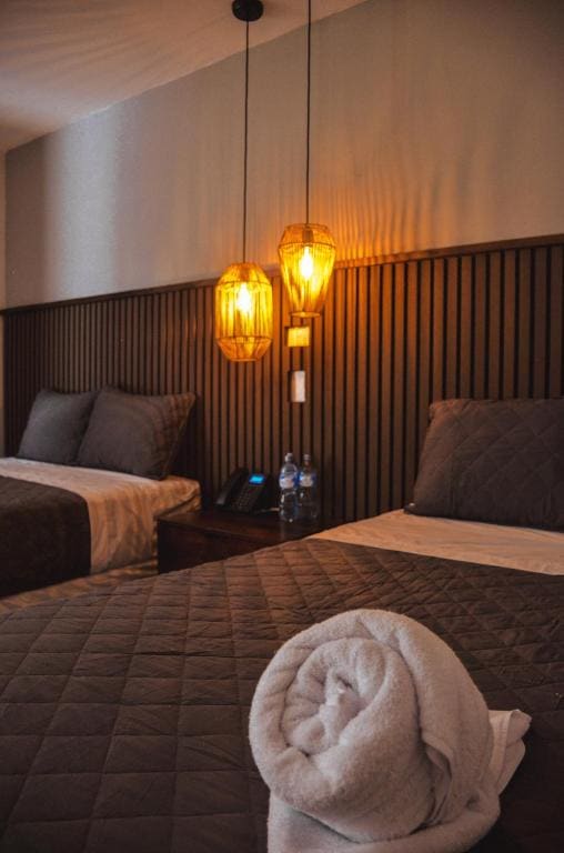 Standard Suite room - Image 1