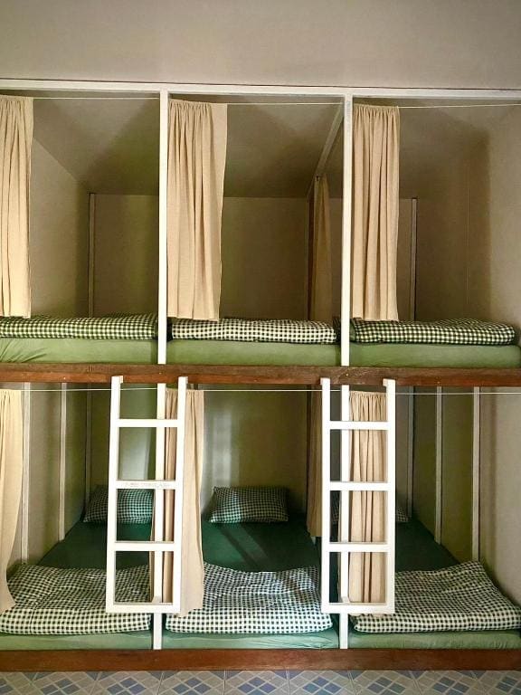 Bunk Bed in Mixed Dormitory Room room - Image 1