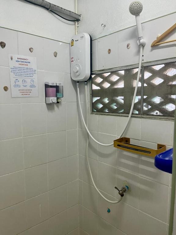 Bunk Bed in Mixed Dormitory Room room - Image 2