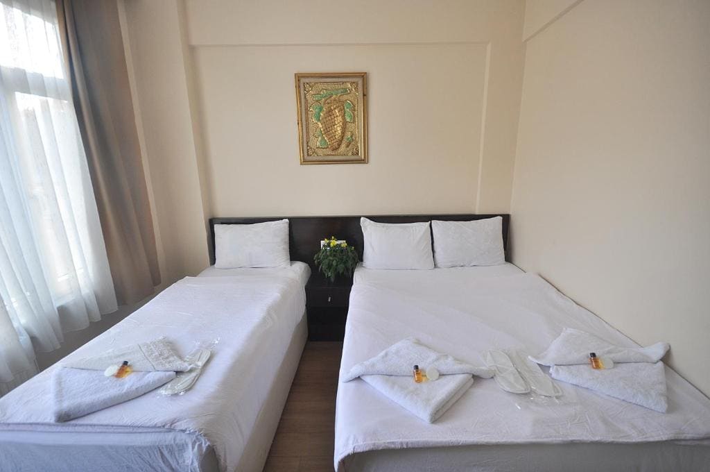 Triple Room room - Image 3