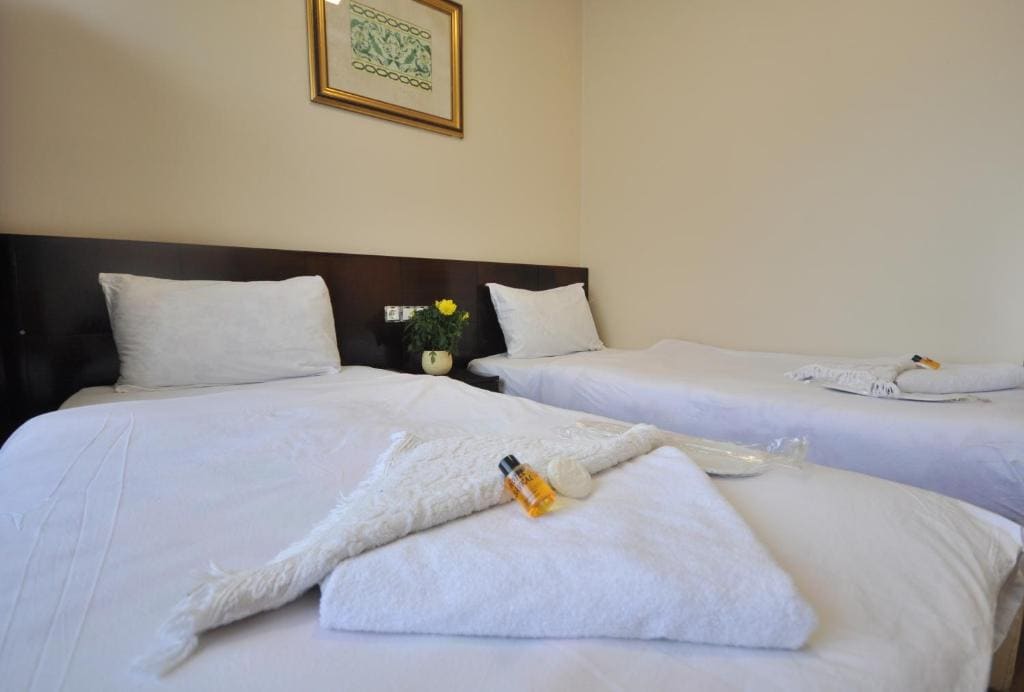 Standard Twin Room room - Image 3