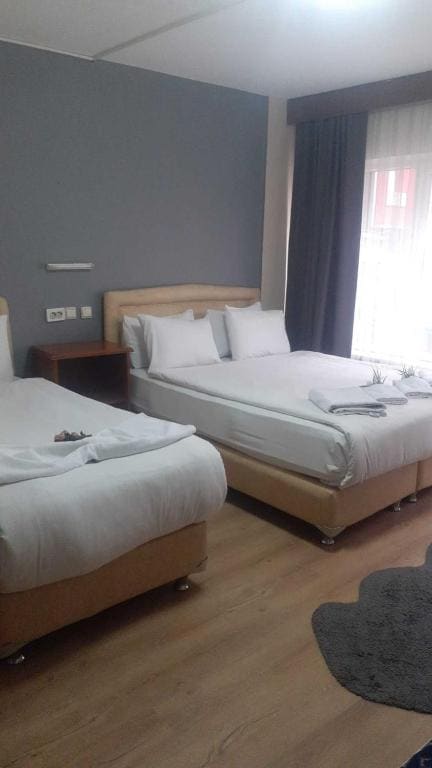 Triple Room room - Image 2