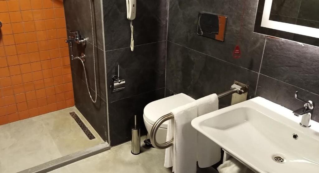 Queen Room with Roll-In Shower - Mobility/Hearing Accessible - Non-Smoking room - Image 1