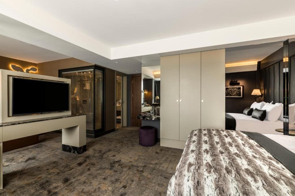 Deluxe King Suite room - Image 2
