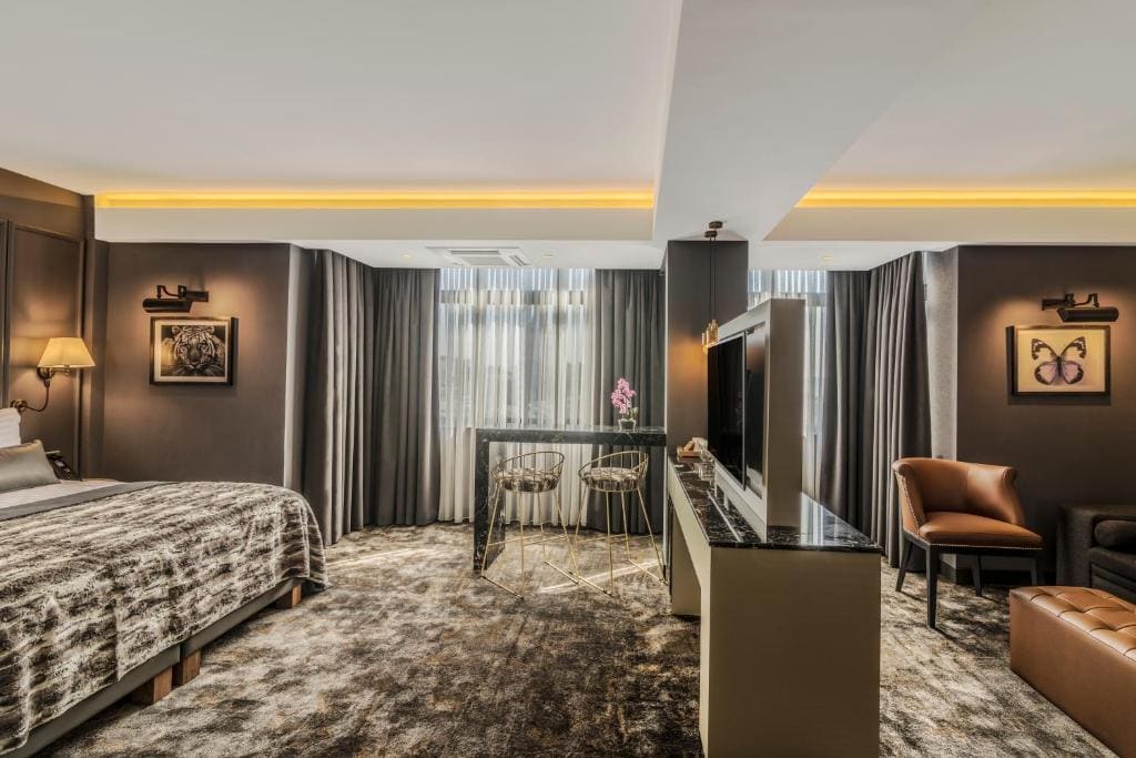 Deluxe King Suite room - Image 3