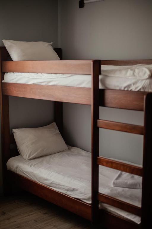 Bunk Bed in Mixed Dormitory Room room - Image 1