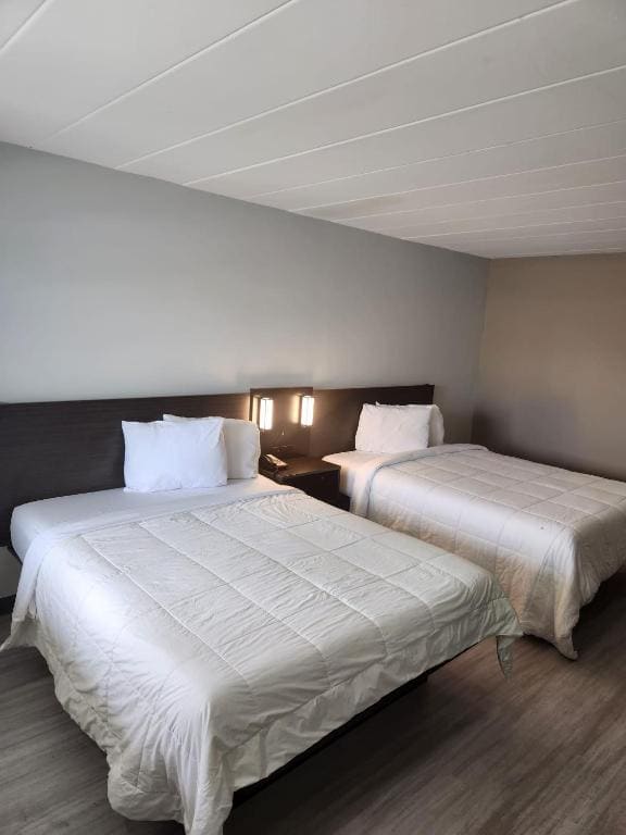 Deluxe Queen Studio room - Image 1
