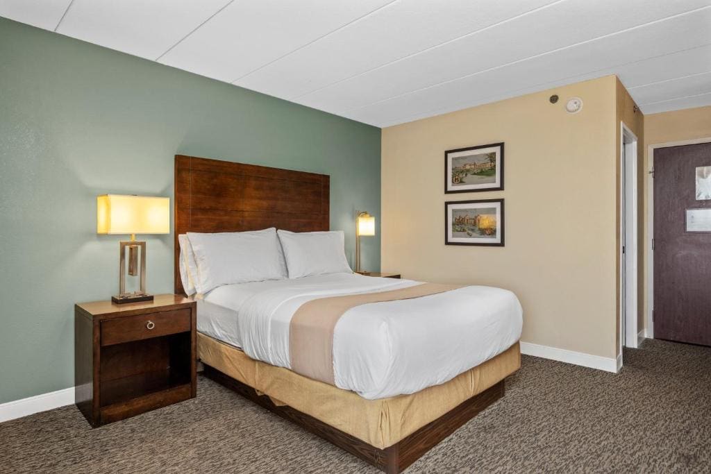 Standard Single Room room - Image 1