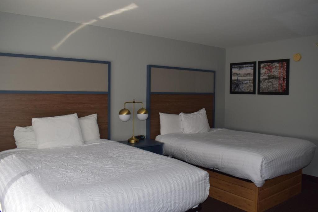 King Room - Non-Smoking room - Image 2