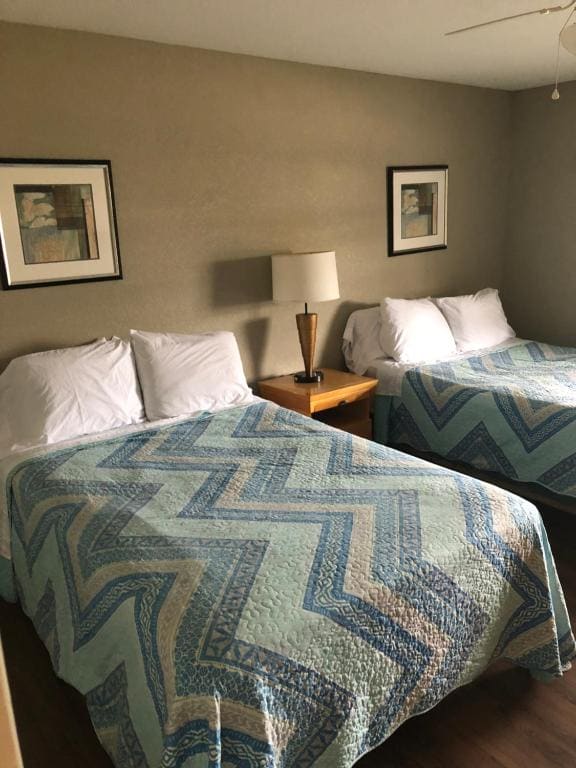 Large Double Room room - Image 1