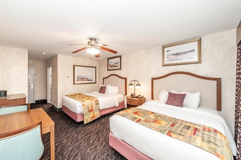 Queen Room with Two Queen Beds, Mobility/Hearing Access and Roll-In Shower, Non-Smoking room - Image 3