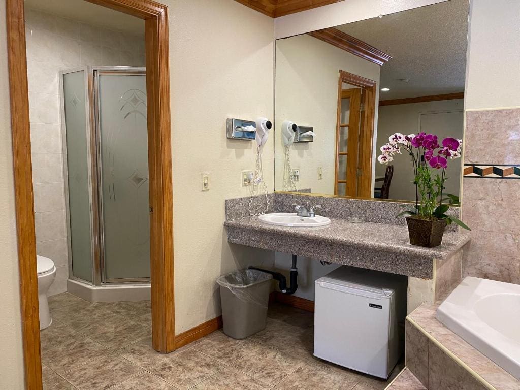 King Room with Spa Bath room - Image 3