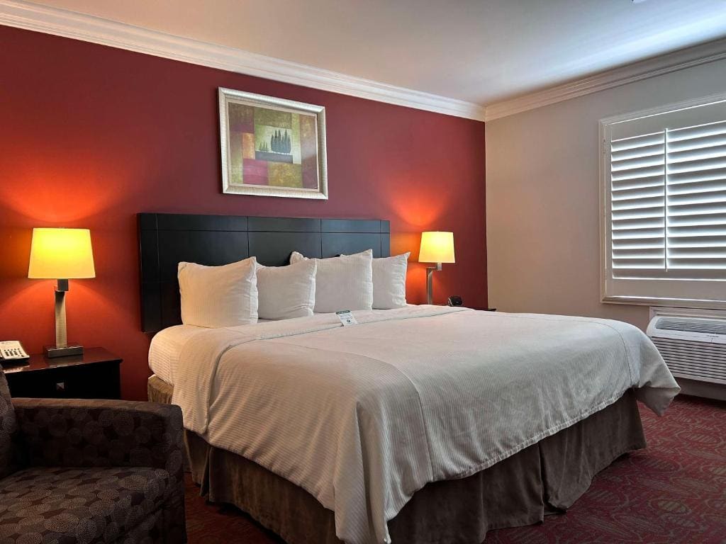 King Room - Non-Smoking room - Image 1