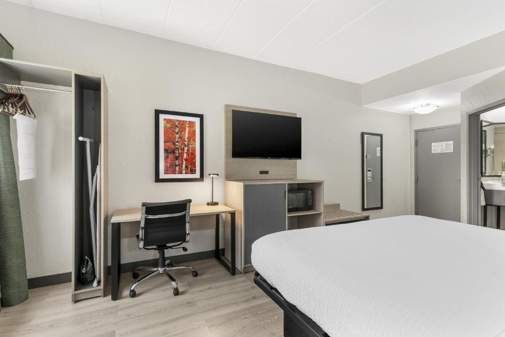 King Room - Non-Smoking room - Image 2