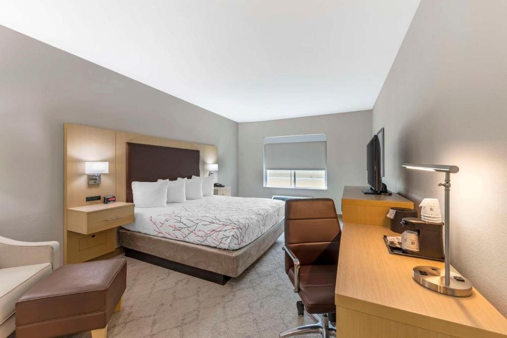 King Room room - Image 1