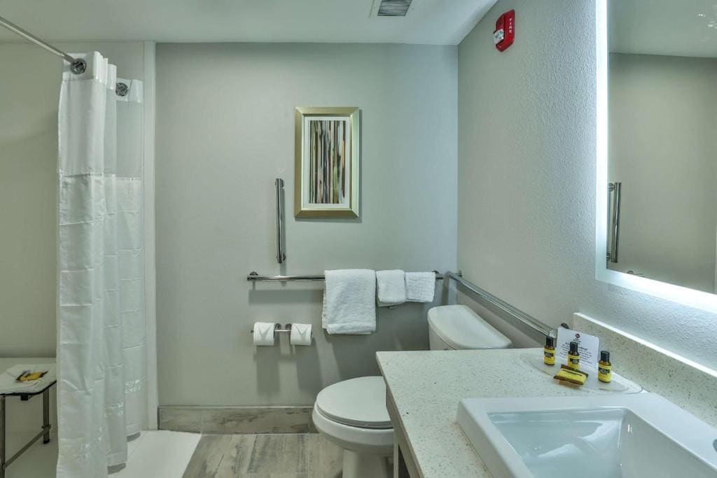 King Suite with Roll-In Shower and Sofa Bed - Disability/Non-Smoking room - Image 3