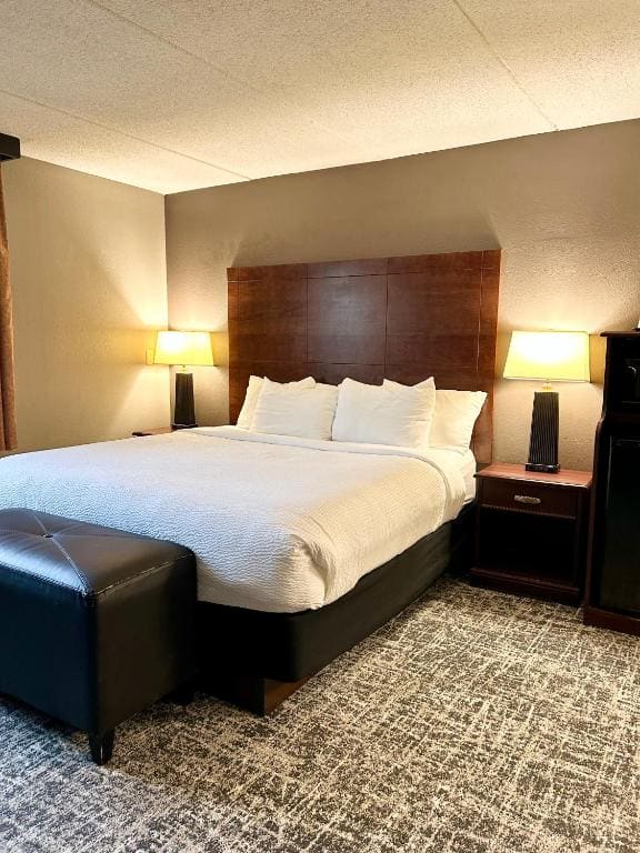 Executive Suite room - Image 1