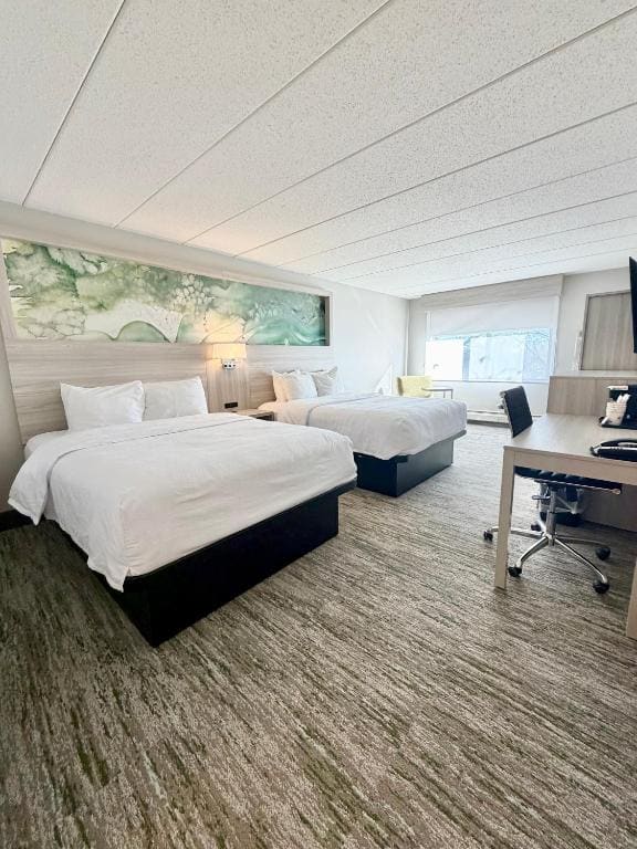 Queen Room with Two Queen Beds - Disability Access/Non-Smoking room - Image 1