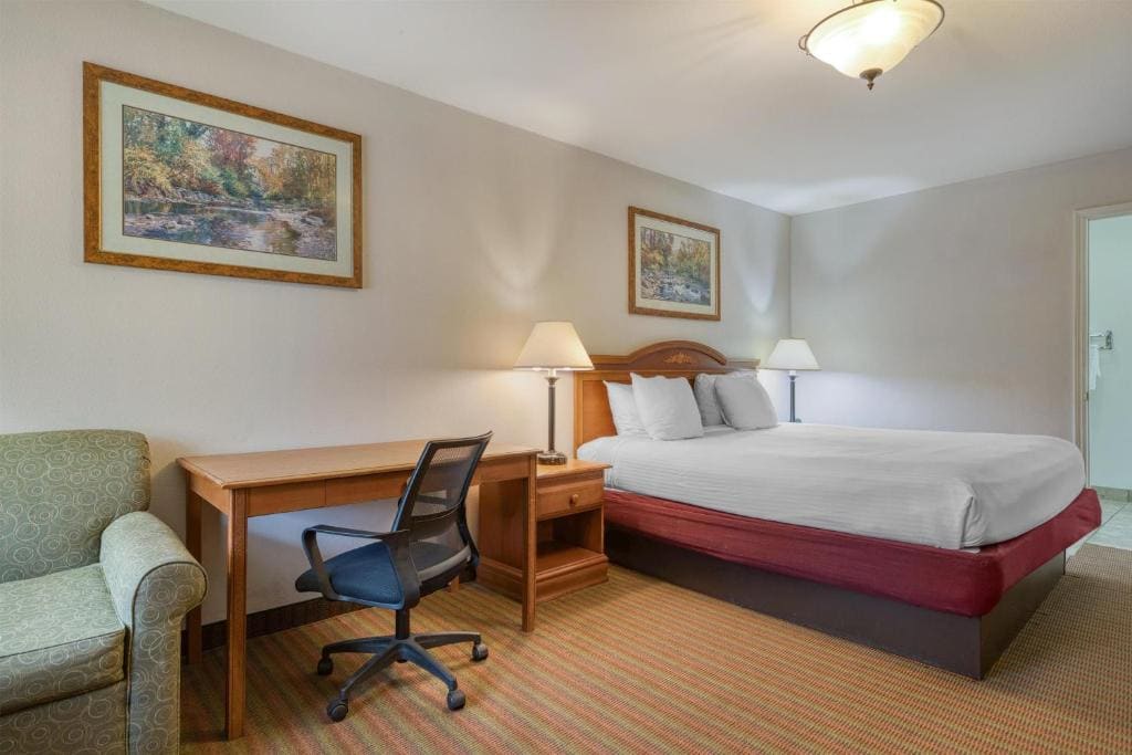 King Room with Bath Tub - Disability Access/Non-Smoking room - Image 3
