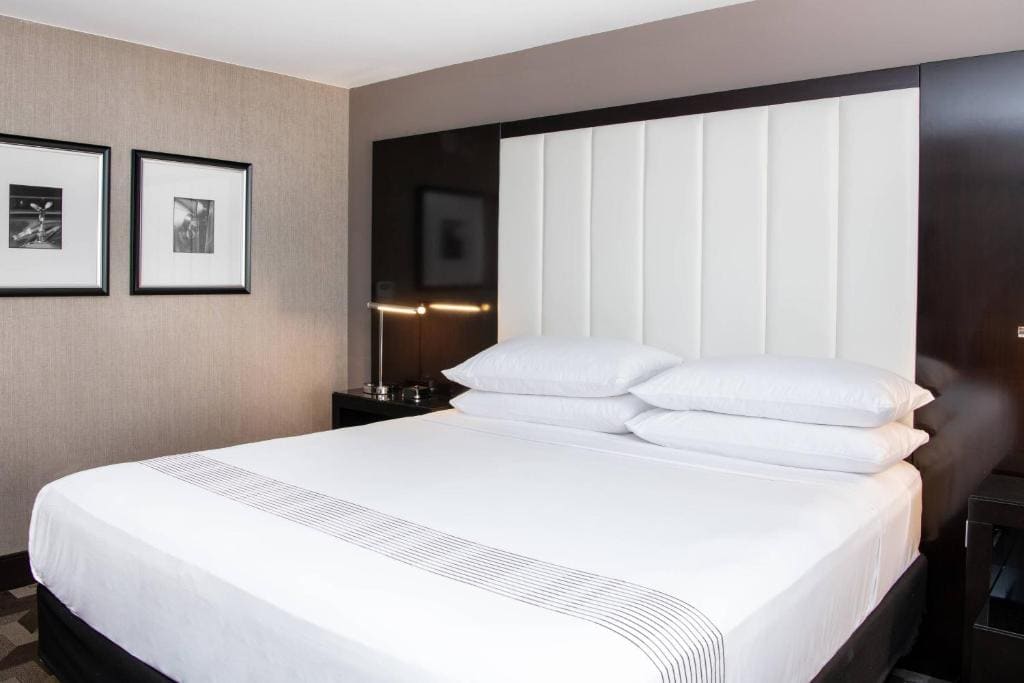 Executive King Room room - Image 1