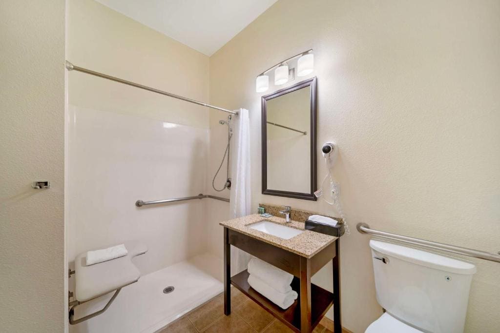 King Room with Roll-In Shower - Pet Friendly/Disability Access room - Image 3