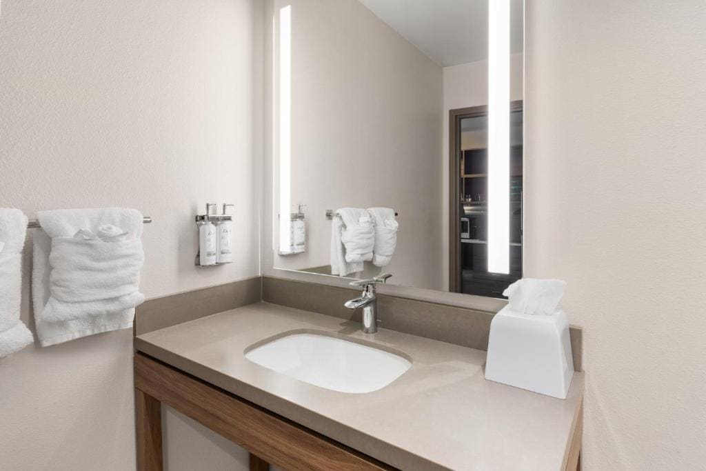 King Studio with Roll-In Shower - Mobility Accessible room - Image 3