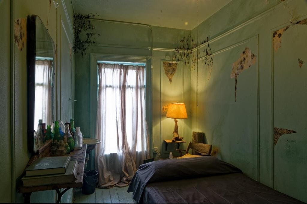 Room #213996910 room - Image 1