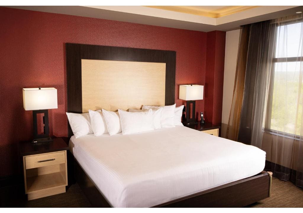 Executive Suite room - Image 1