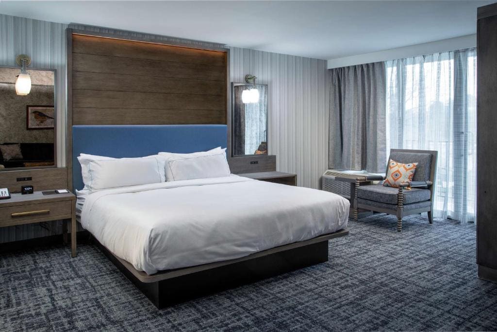 King Studio Suite room - Image 1