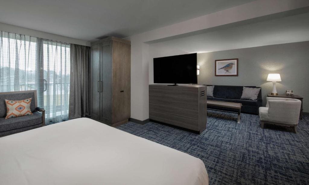 King Studio Suite room - Image 3