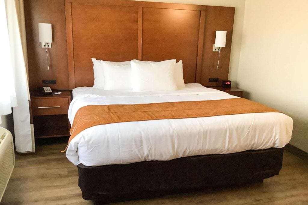 One Bedroom King Suite with Sofa Bed - Non-Smoking room - Image 3