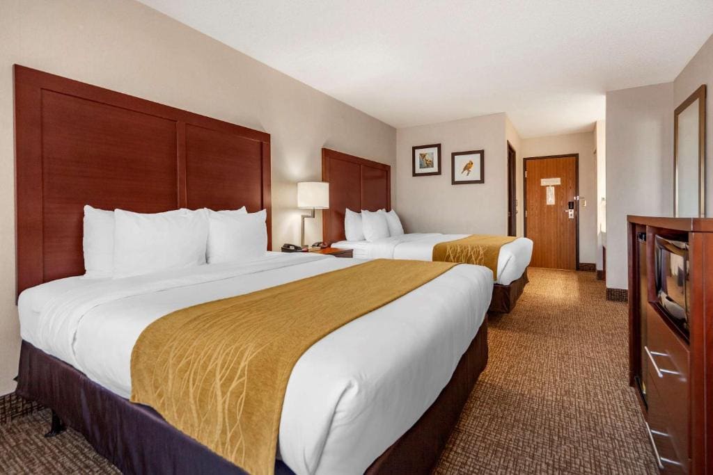 Deluxe Queen Room with Two Queen Beds - Non-Smoking room - Image 1