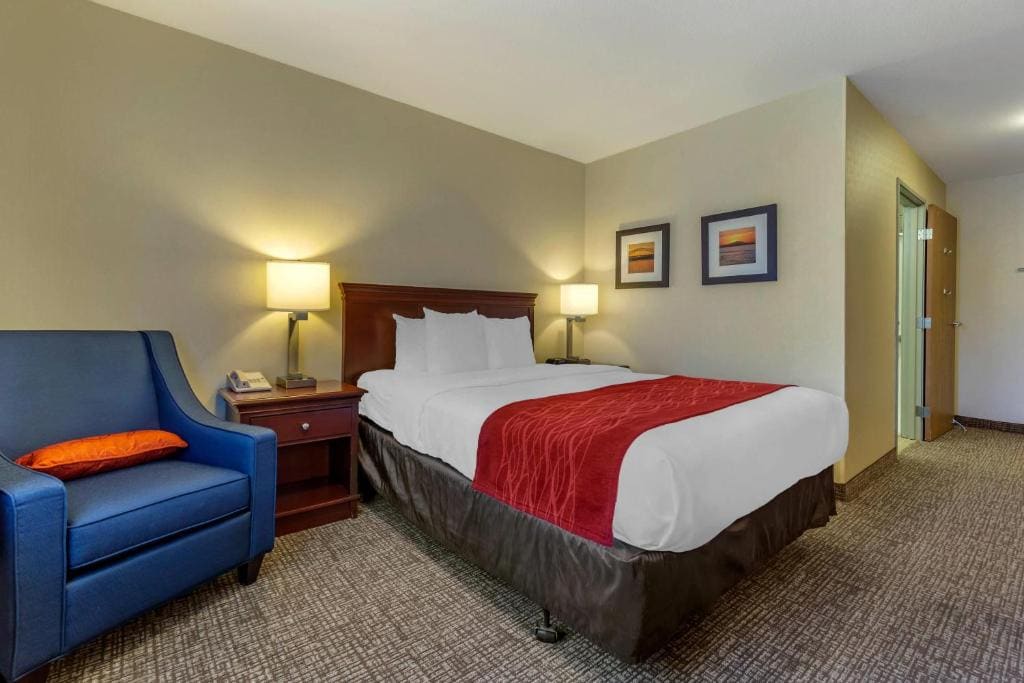 Queen Room - Accessible/Non-Smoking room - Image 1