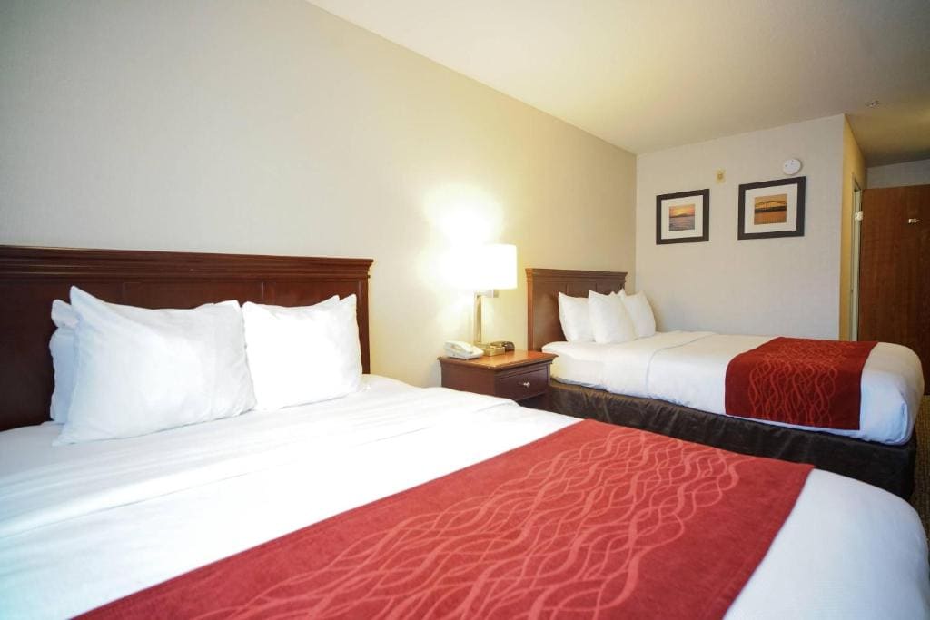 Queen Room with Two Queen Beds - Non-Smoking room - Image 1