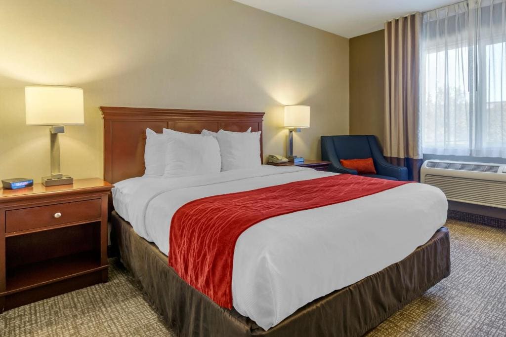 Queen Room - Accessible/Non-Smoking room - Image 3