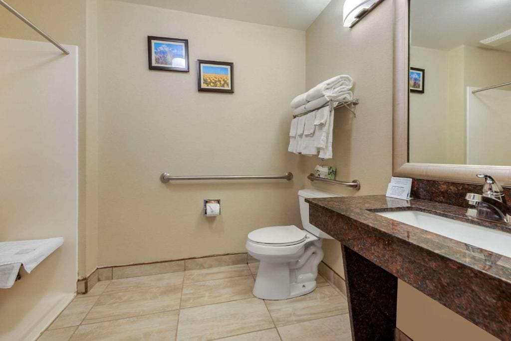 King Room with Roll-In Shower - Accessible/Non-Smoking room - Image 2