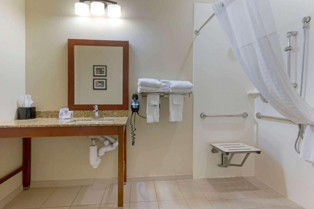King Suite with Roll-In Shower - Accessible/Non-Smoking room - Image 1