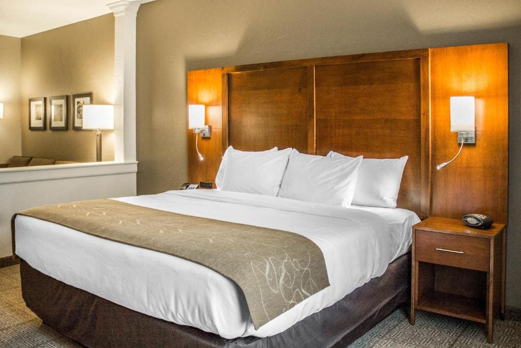 King Suite - Non-Smoking/Pet Friendly room - Image 1
