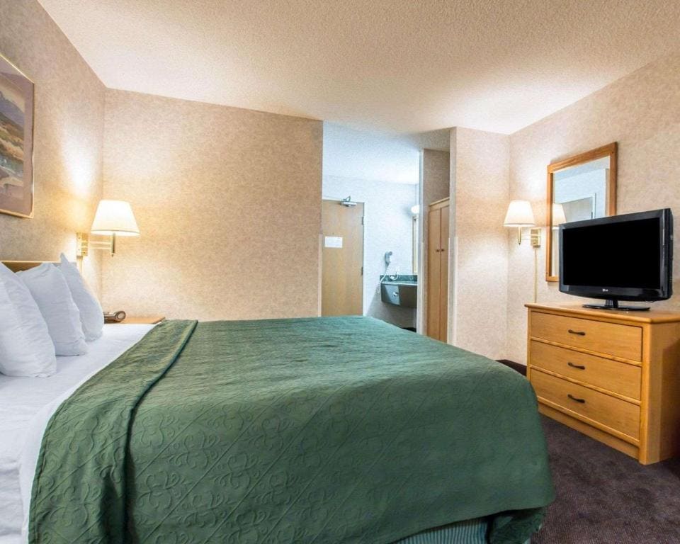 Deluxe Room, 1 King Bed, Jetted Tub, Non Smoking room - Image 3