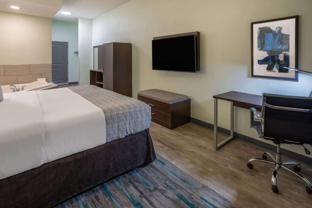 1 King Bed, One-Bedroom, Deluxe Suite, Non-Smoking room - Image 1