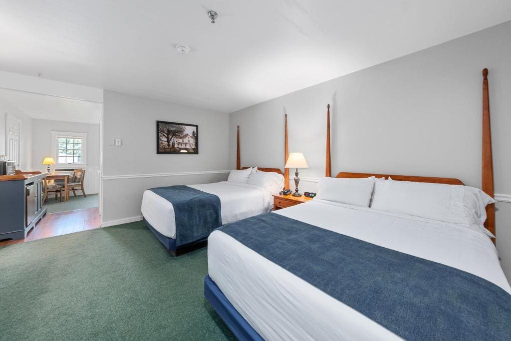 Deluxe Queen Suite room - Image 1