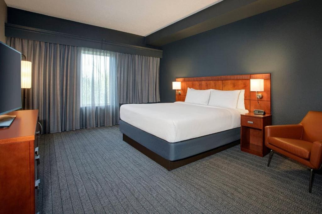 King Suite with Bathtub and Sofa Bed - Mobility Access/Hearing Accessible room - Image 2
